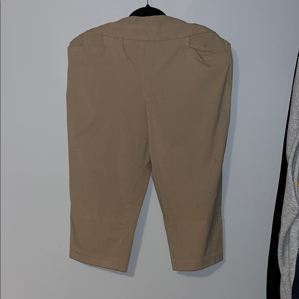 Time and Tru Tan Capris